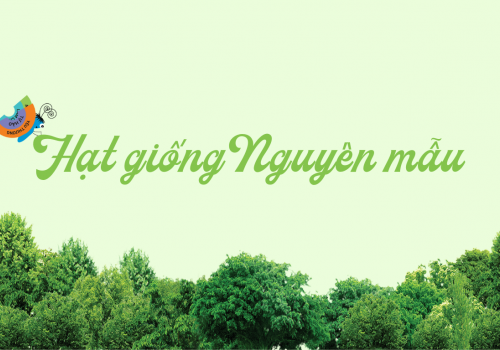 WOW Project 2023 - Team HR-OD | Hạt giống Nguyên mẫu