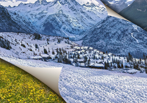 Dẫn dắt sự Thay đổi trong Tổ chức